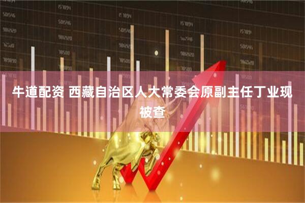 牛道配资 西藏自治区人大常委会原副主任丁业现被查